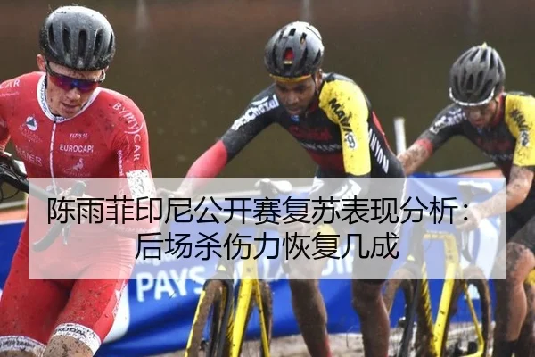 陈雨菲印尼公开赛复苏表现分析：后场杀伤力恢复几成